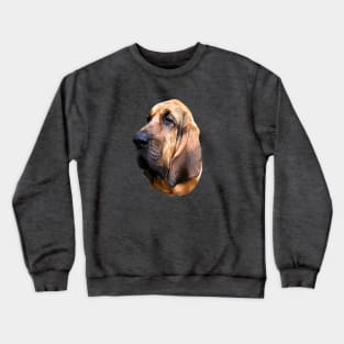 Bloodhound Head Crewneck Sweatshirt